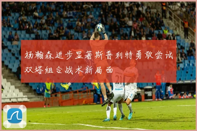 杨瀚森进步显著斯普利特勇敢尝试双塔组合战术新局面
